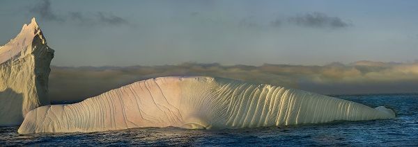 Antarctica-South Georgia Island-Coopers Bay Iceberg shaped like elephant seal at sunrise